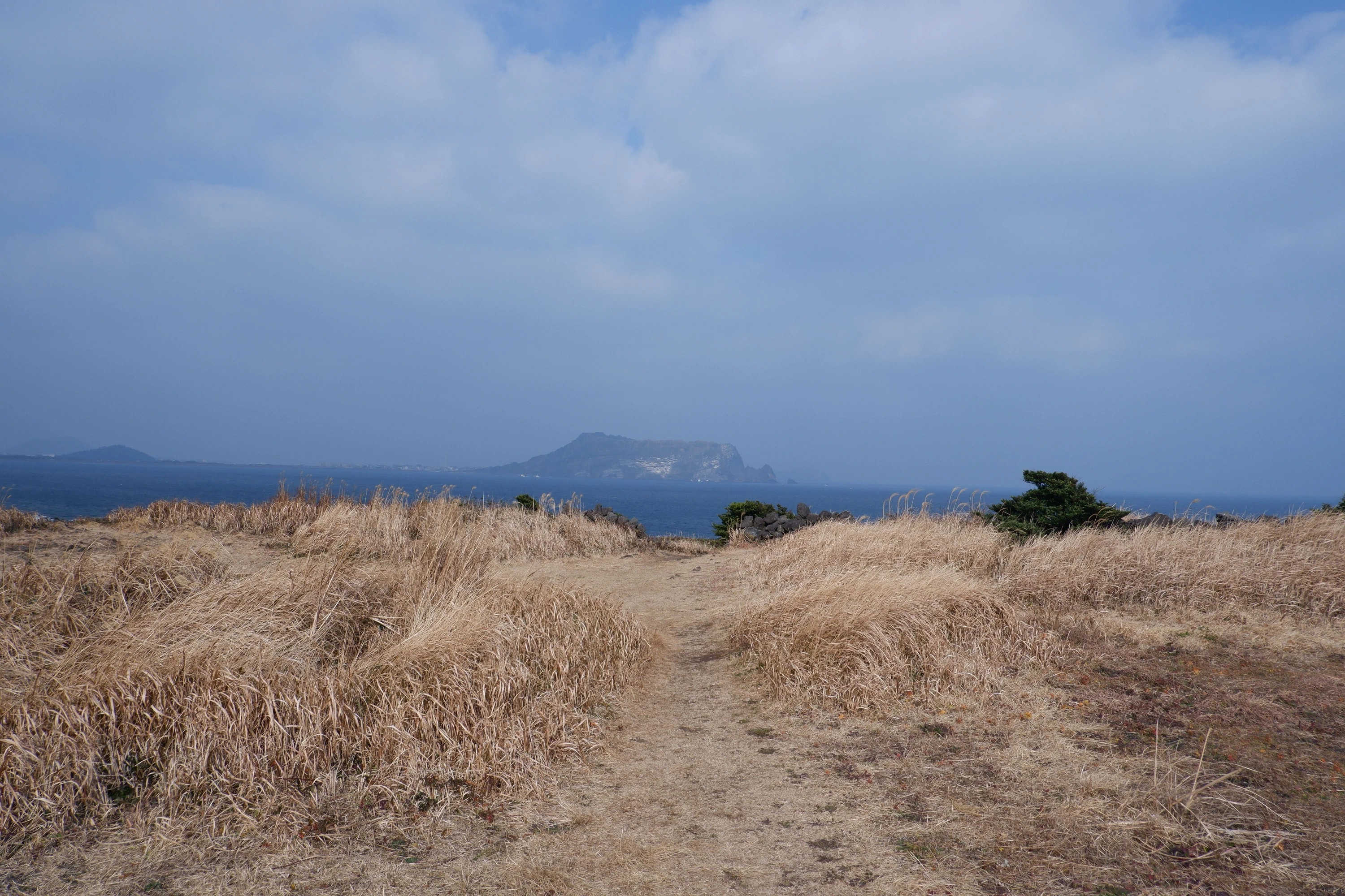 An open path through coastal grassland towards the sea on Jeju