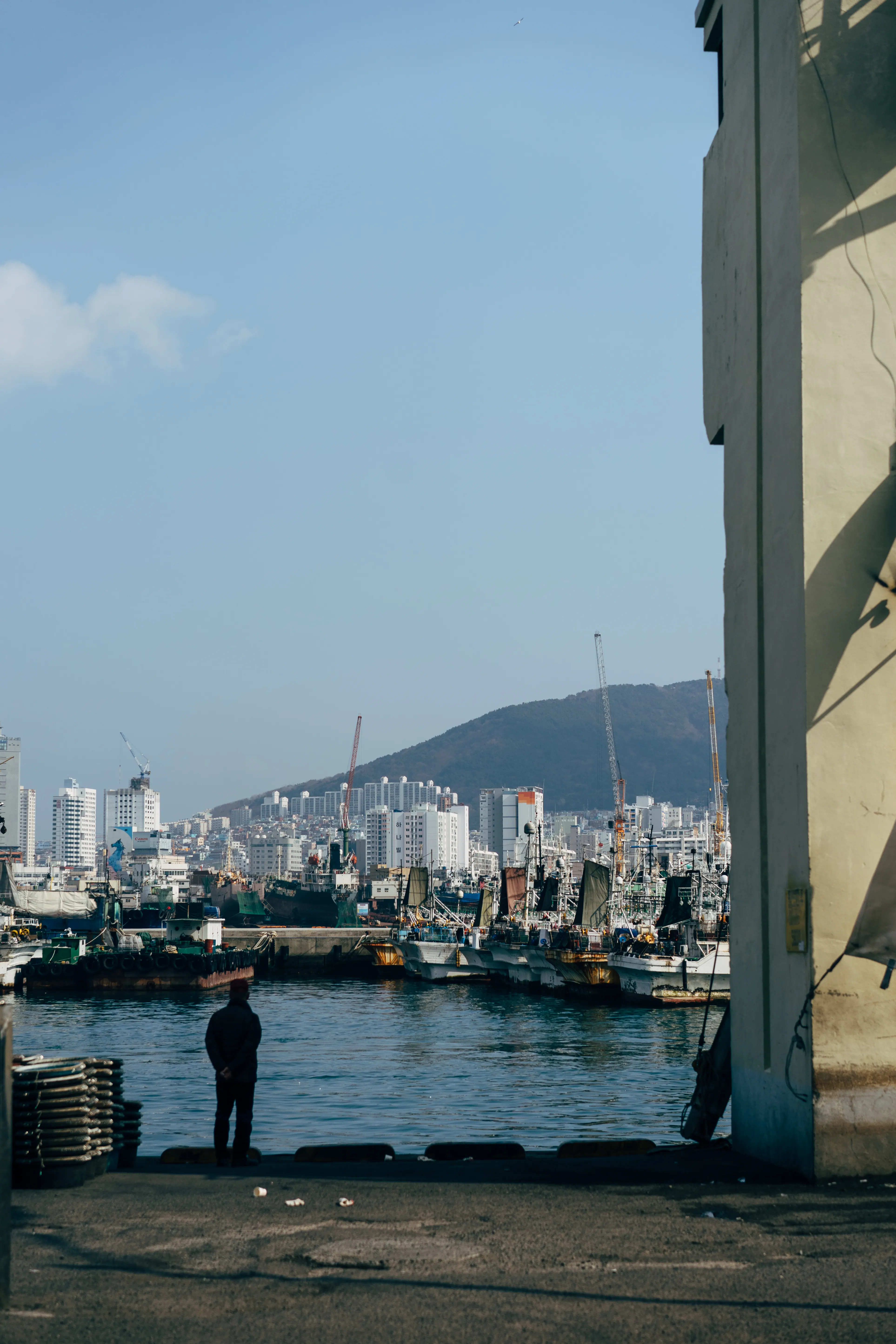Boats moored against the Busan skyline