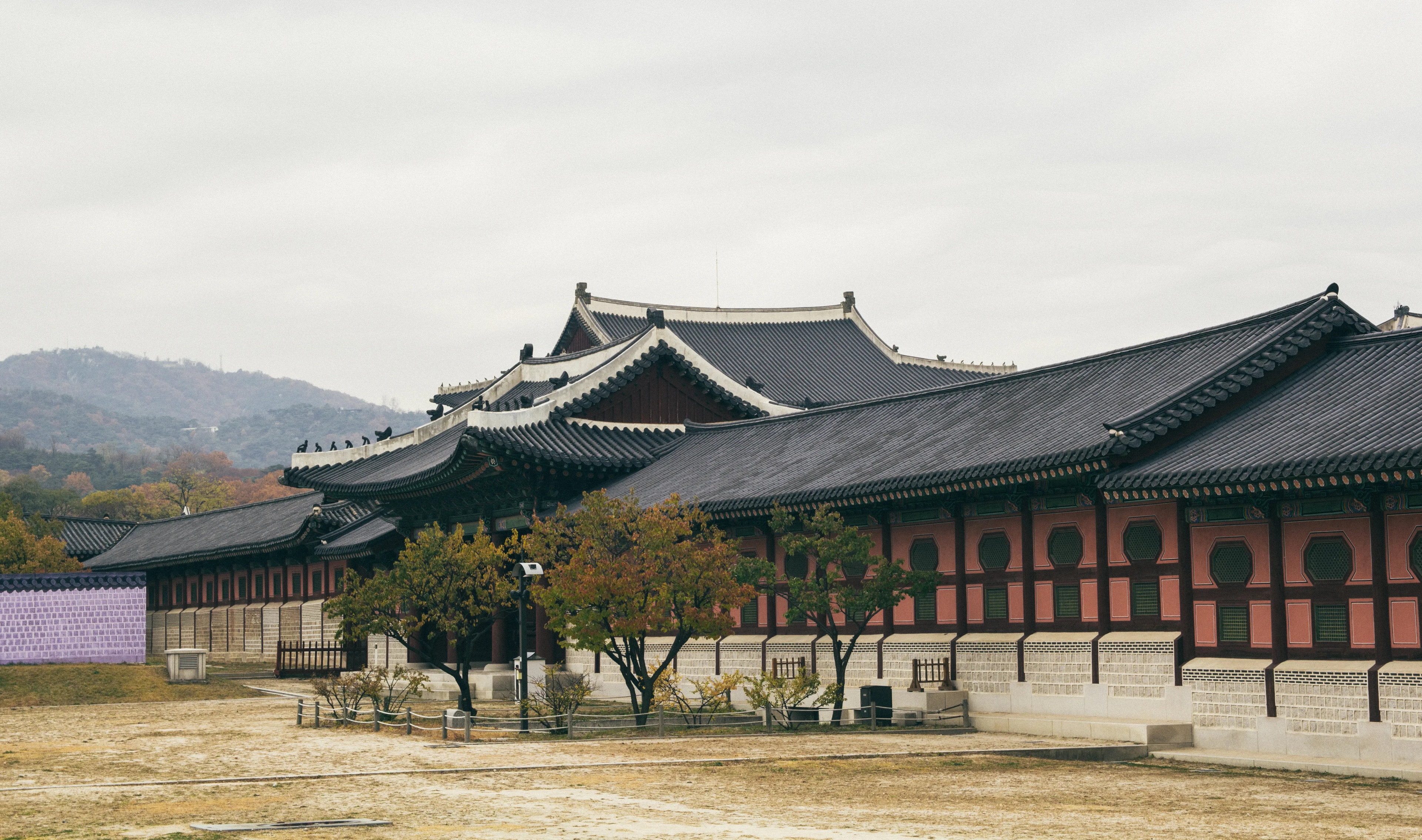 A palace roofline framed by autumn trees in Seoul